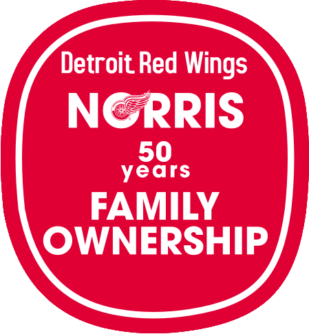 Detroit Red Wings 1981 82 Anniversary Logo cricut iron on